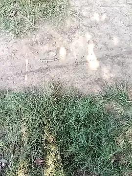 Mehta_seema — Group on StripChat