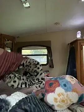 Novgirl110883 — private shows & tip menu